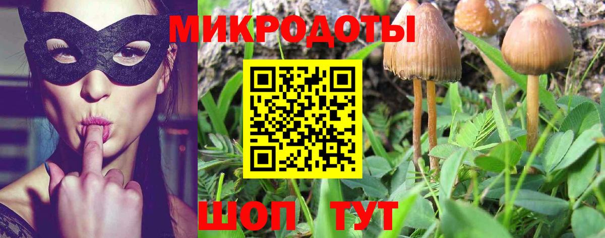 Шали  Галлюциногенные грибы MAGIC MUSHROOMS  Вход с VPN 
